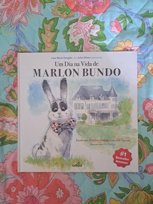 Livro "Um Dia na Vida de MARLON BUNDO"
