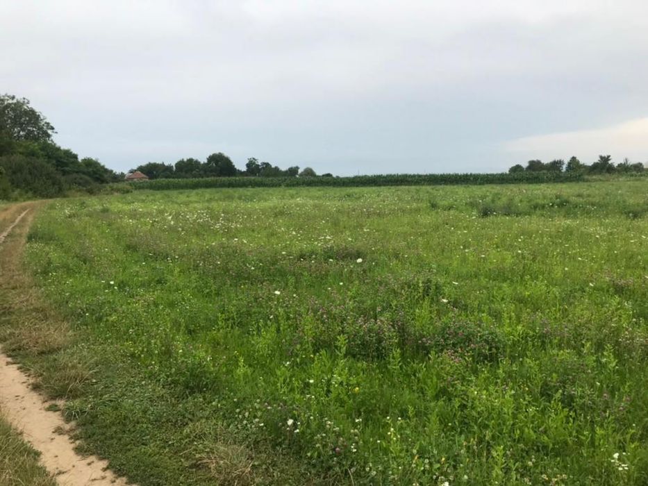 Продаж ділянки с.Батфа