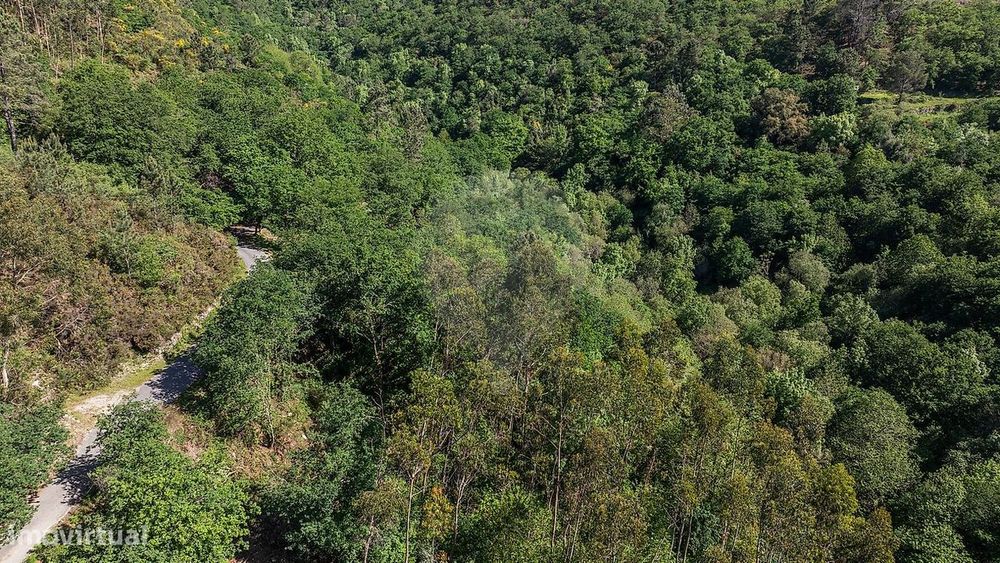 Terreno  para venda