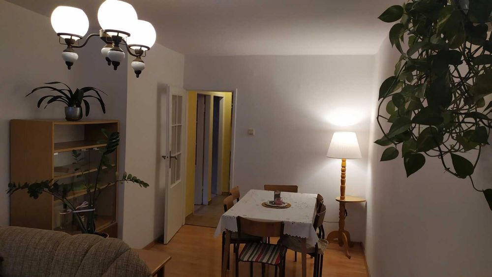 Wynajmę mieszkanie 54m2, parter, LSM Balladyny 4 pokoje