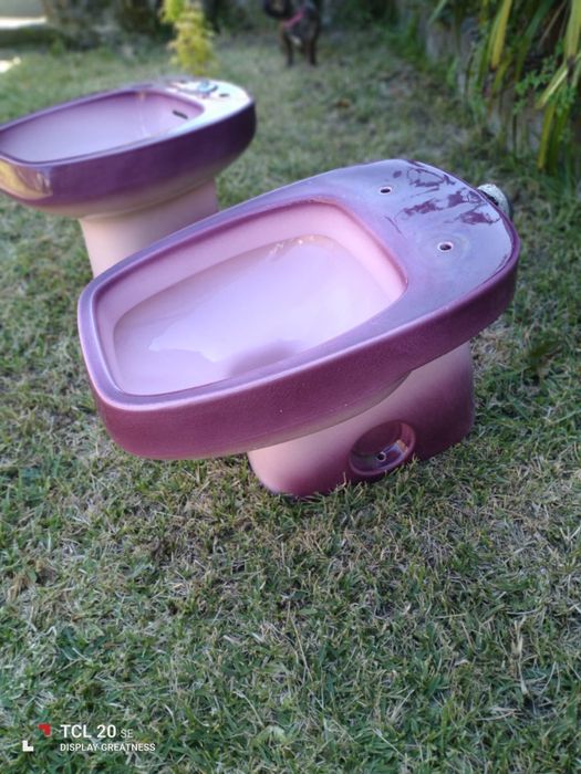 Sanita e bidé cor de rosa