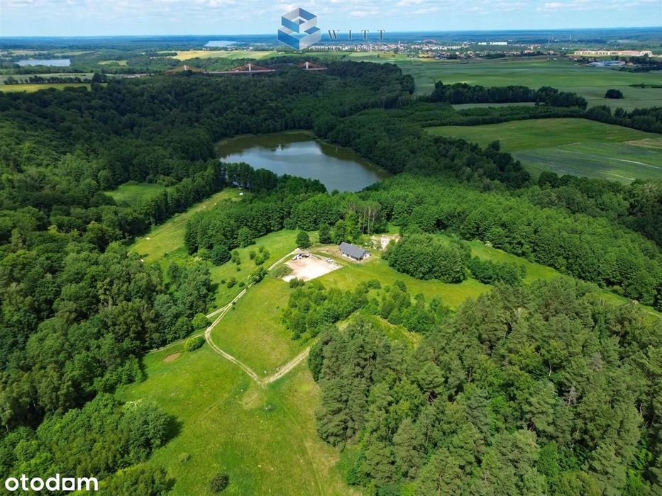 Widokowe działki nad Jeziorem otoczone lasem