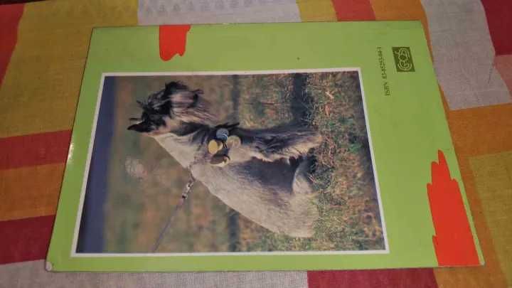 Barbara Szczerbicka Irena Krassowska
Hobby
Sznaucery