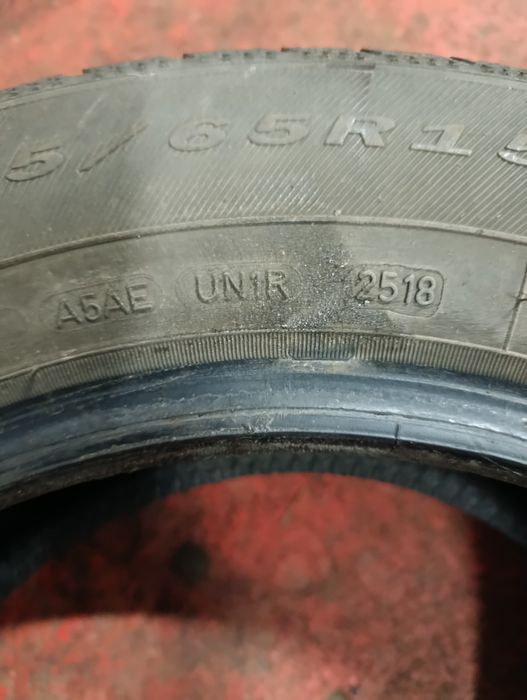 Opony zimowe  Dębica frigo 2