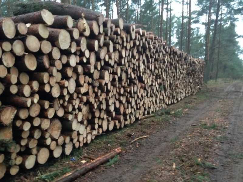 Drewno Opałowe Opał Sosna Sosnowe