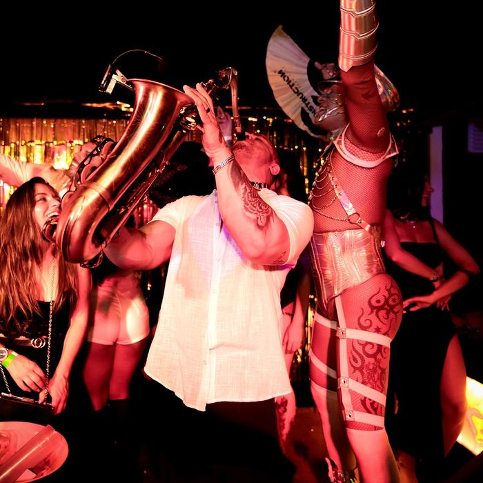 Saxofonista Profissional