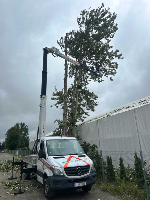 Wycinka drzew Podnośnik koszowy  Korekta Pielęgnacja  Przycinka