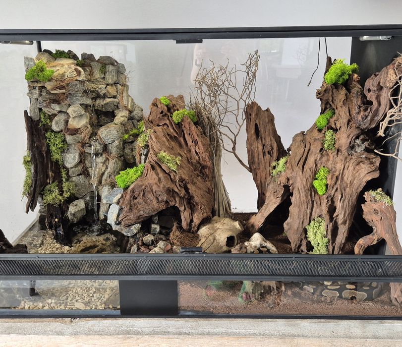 Terarium z wyposażeniem