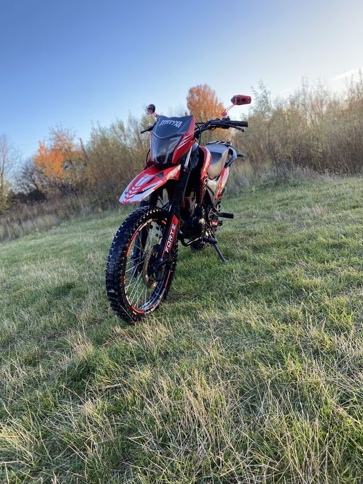 Форте кросс 300