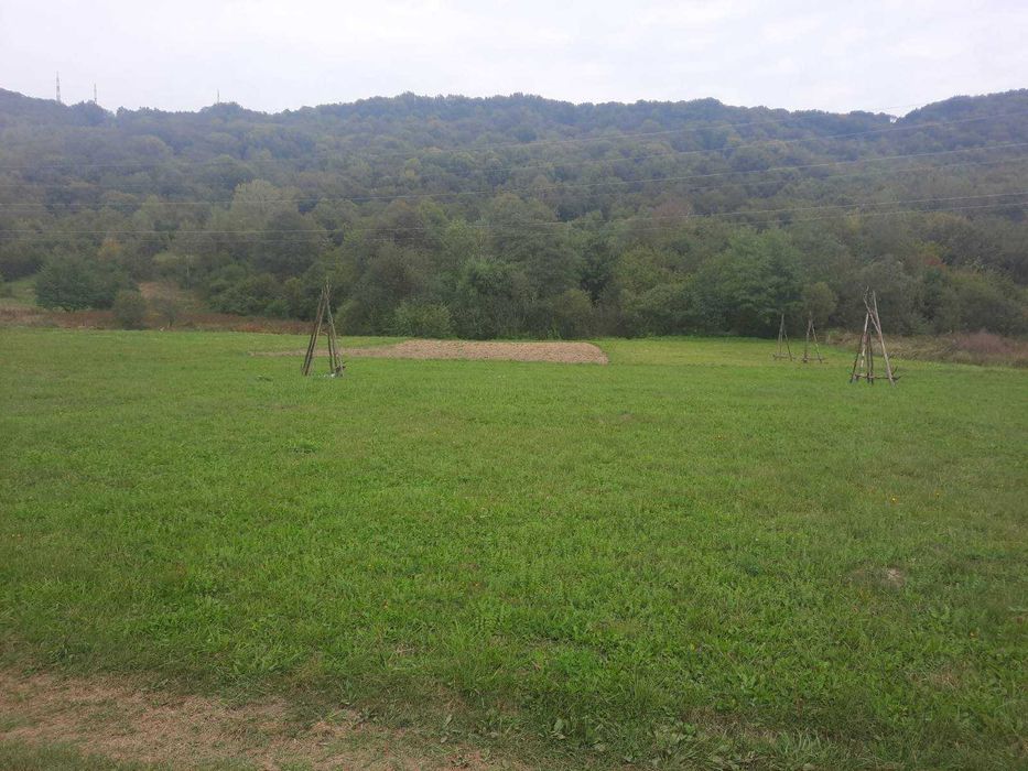 Продам ділянку в Карпатах коло лісу