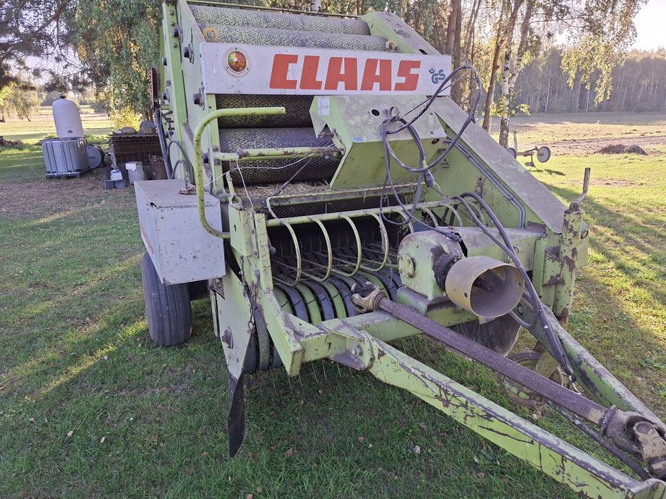 Sprzedam prase Claas Rollant 44