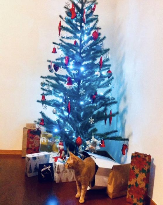 Árvore de Natal Ikea Vinterfint (sem decorações) com 1,5m