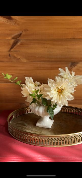 Жоржина White Perfection