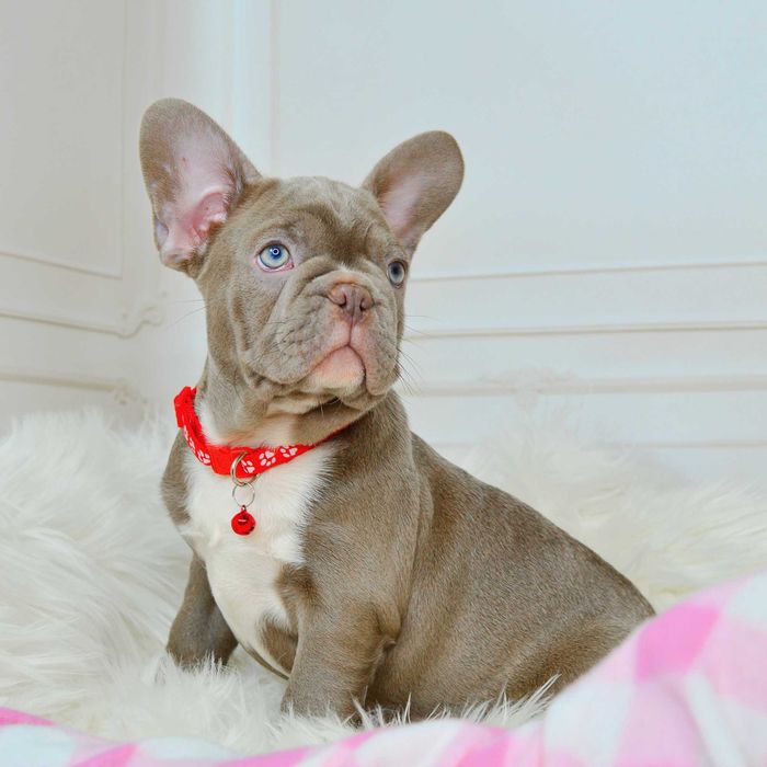 !!!Казкові малюки у пошуках люблячих родин!!!