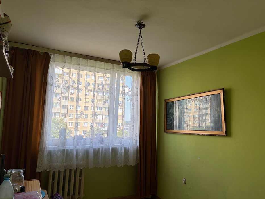 Zdjęcie 3