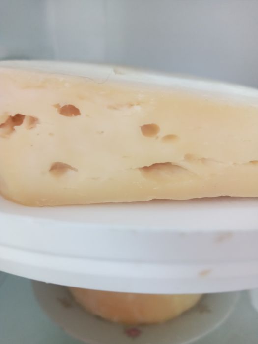 Пропоную кіз, козликів та козенят,  зааненської породи.