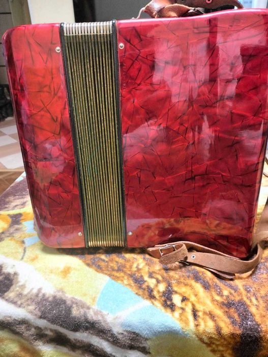 Аккордеон немецкий подростковый «Rigoletto 1»