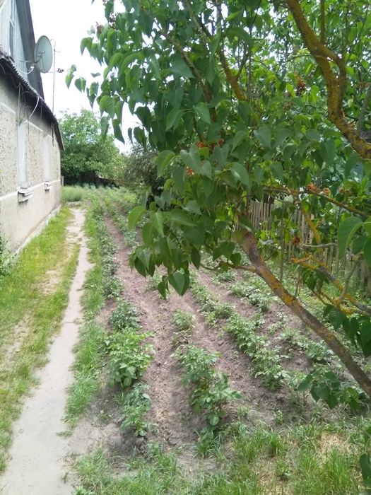 Продається будинок, м. Камінь-Каширський