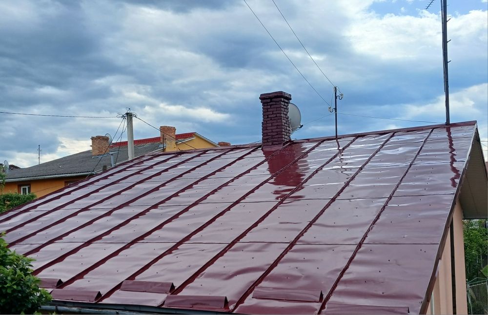 Фарбування дахів.