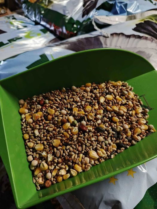 Karma dla gołębi bez jęczmienia S