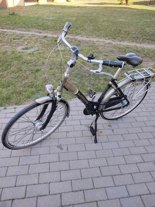 Rower Batavus damka