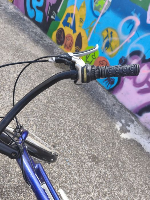 Bicicleta beach cruiser shwimm