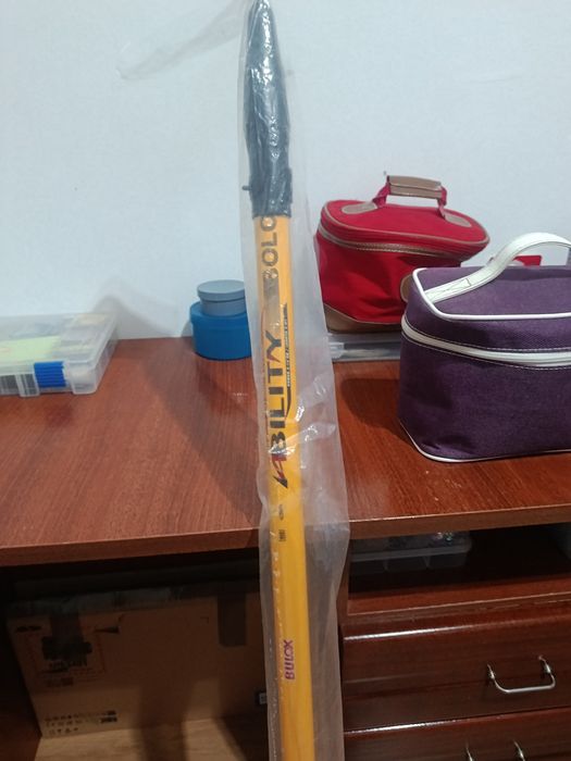Cana de pesca boia