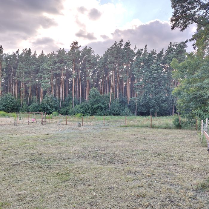 Działka budowlana pod lasem Wudzyn