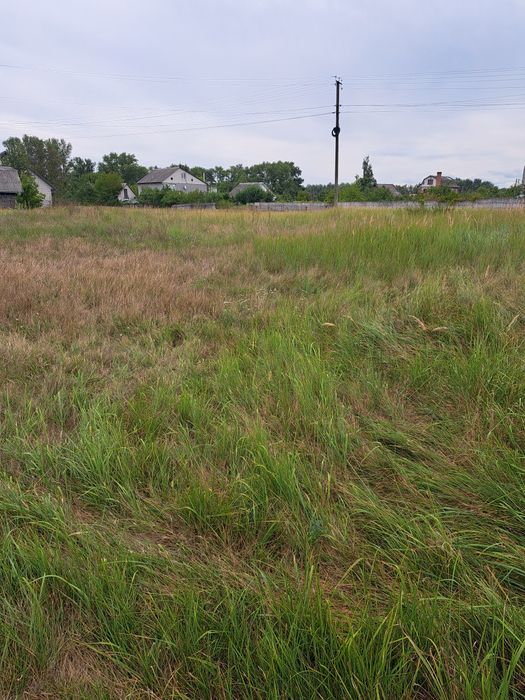 Участок Боромыки на берегу Десны