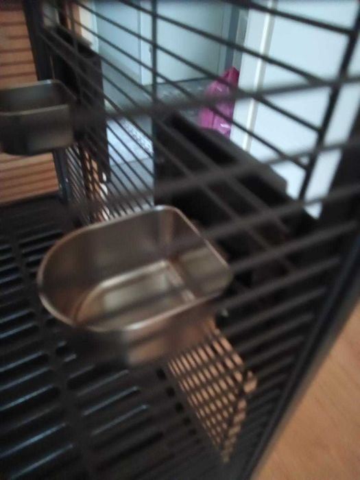 klatka dla ptaka średniej wielkości