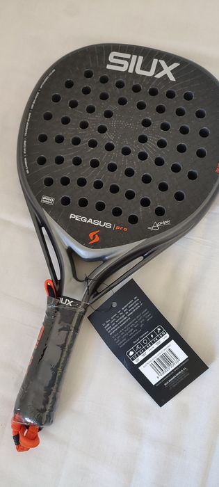 Siux Pegasus Pro Grey Version 2026