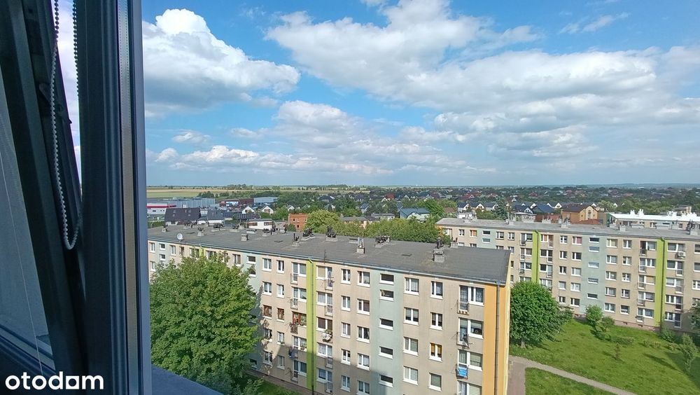 Kawalerka do wynajęcia