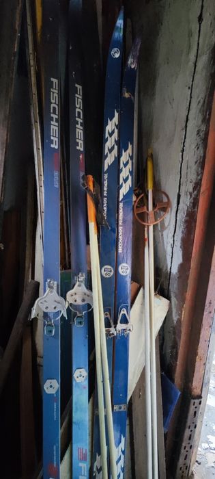 санки лижі дерево є дитячі