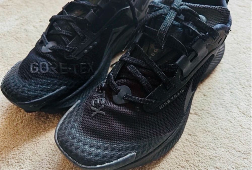 Nike Pegasus Trail 5 Gore-Tex Like New.