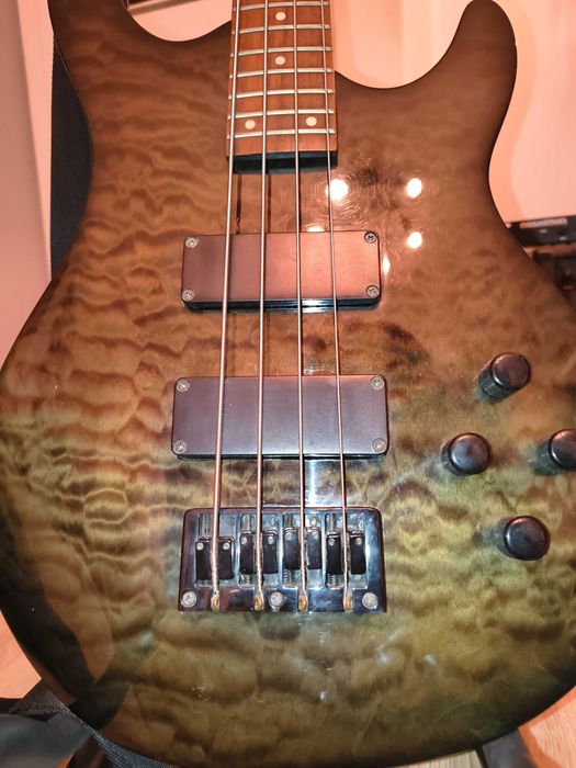 Epiphone Embassy IV Standard plus gitara basowa aktywna gibson