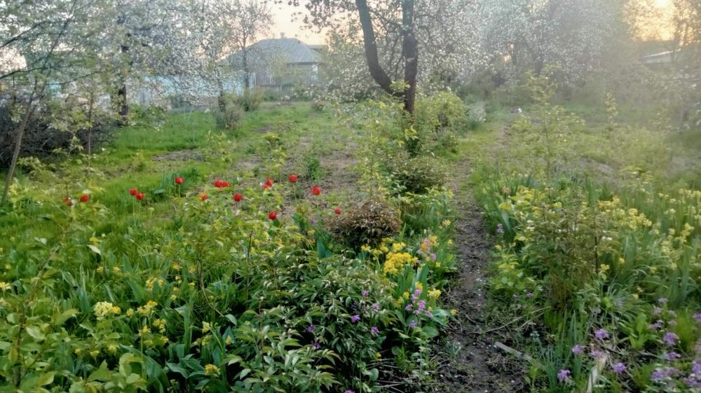 Продам садовый участок 6 сот