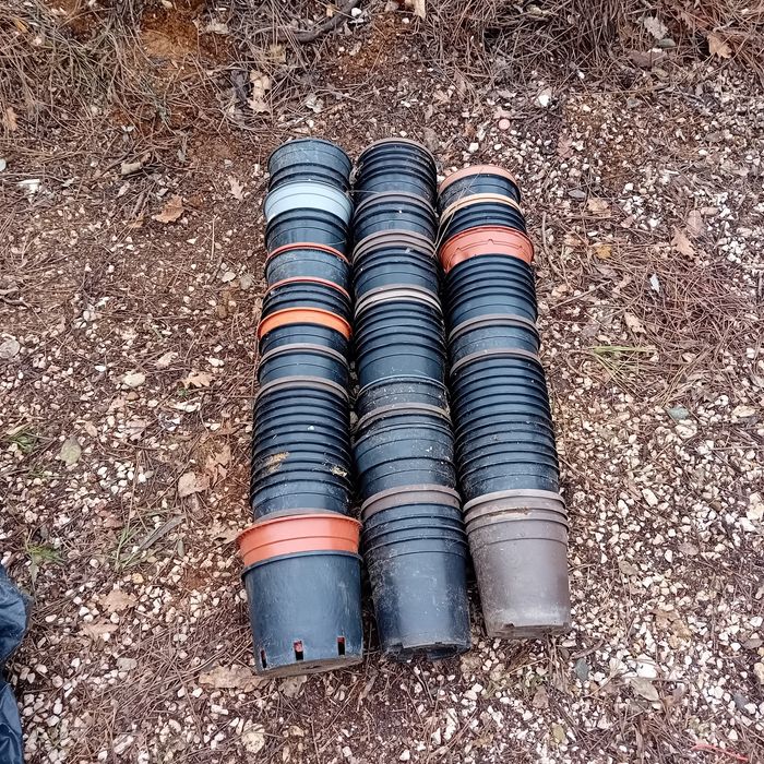 Lote 100 vasos plástico