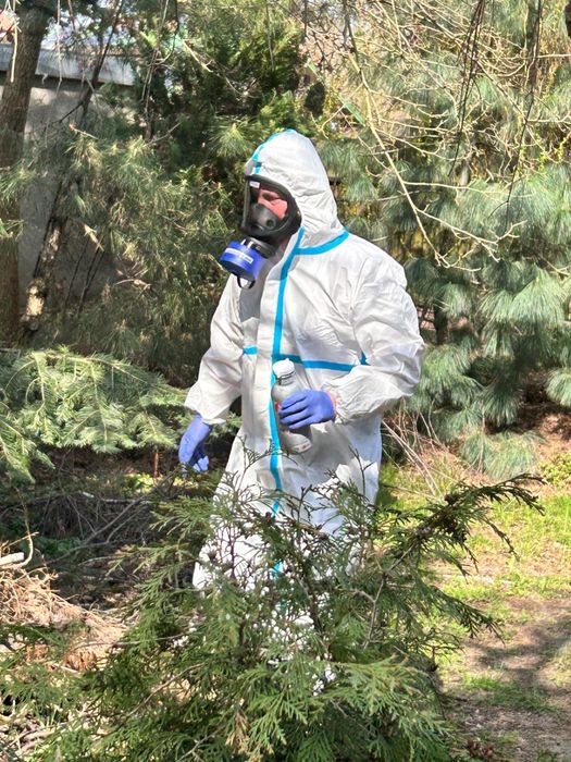 BOMBA!! Pluskwy Karaluchy Prusaki Rybiki Myszy Szczury USŁUGI I SKLEP