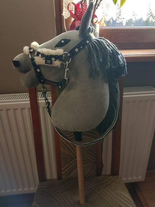Hobby horse A3 .