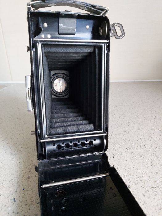 Máquina fotográfica de fole