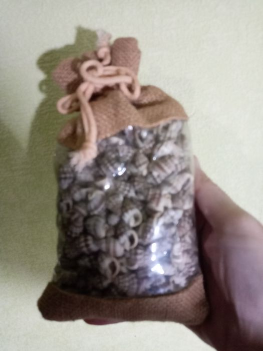 Набор ракушек подарочный из Италии.  Тема- океан.  Множество  ракушек.