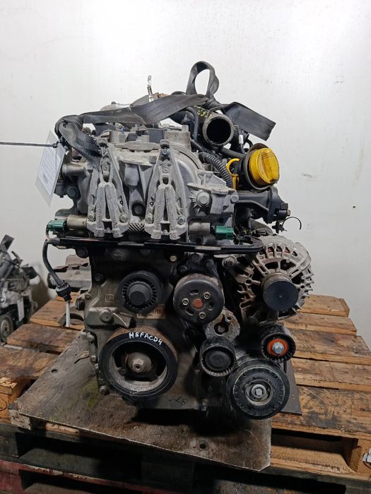 Motor completo RENAULT Scénic III (JZ0/1_)