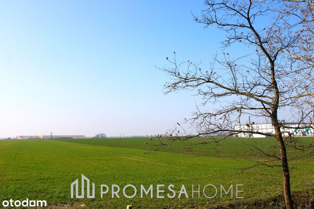 działka 4398 m² pod AG autostrada A2 węzeł Poznań-Wschód MPZP media - Widok 5