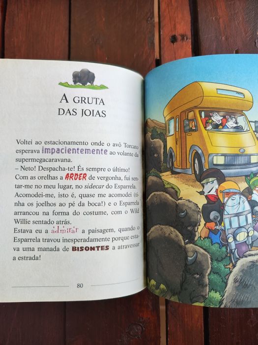 O Tesouro das Colinas Negras, Geronimo Stilton
