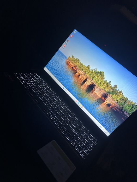 Asus vivobook go 14/15