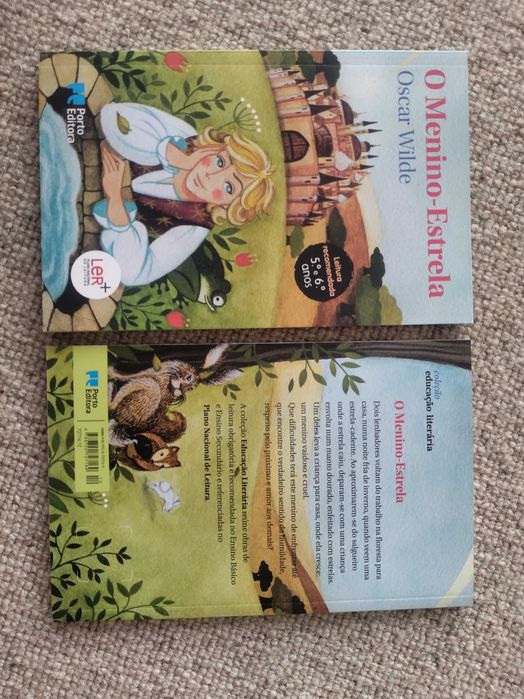 Livro O Menino-Estrrla