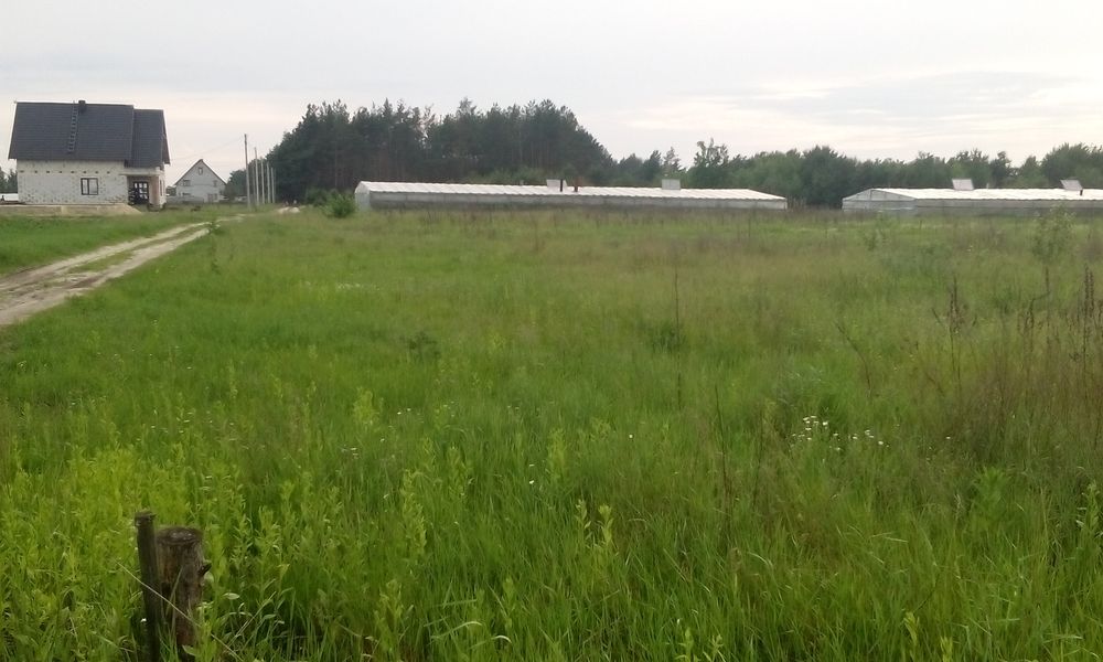 Земельна ділянка