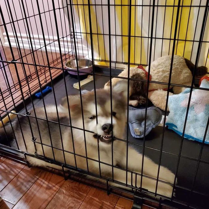 Клетка для собак Польша все размеры переноска манеж будка X/S - XXL