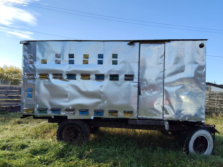 павільйон, бджолопавільн, бджоли