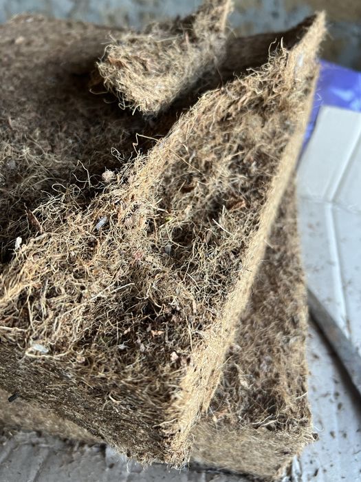 Стільці Венські ! Войцехов ! Кінець ХІХ століття ! Після реставрації !